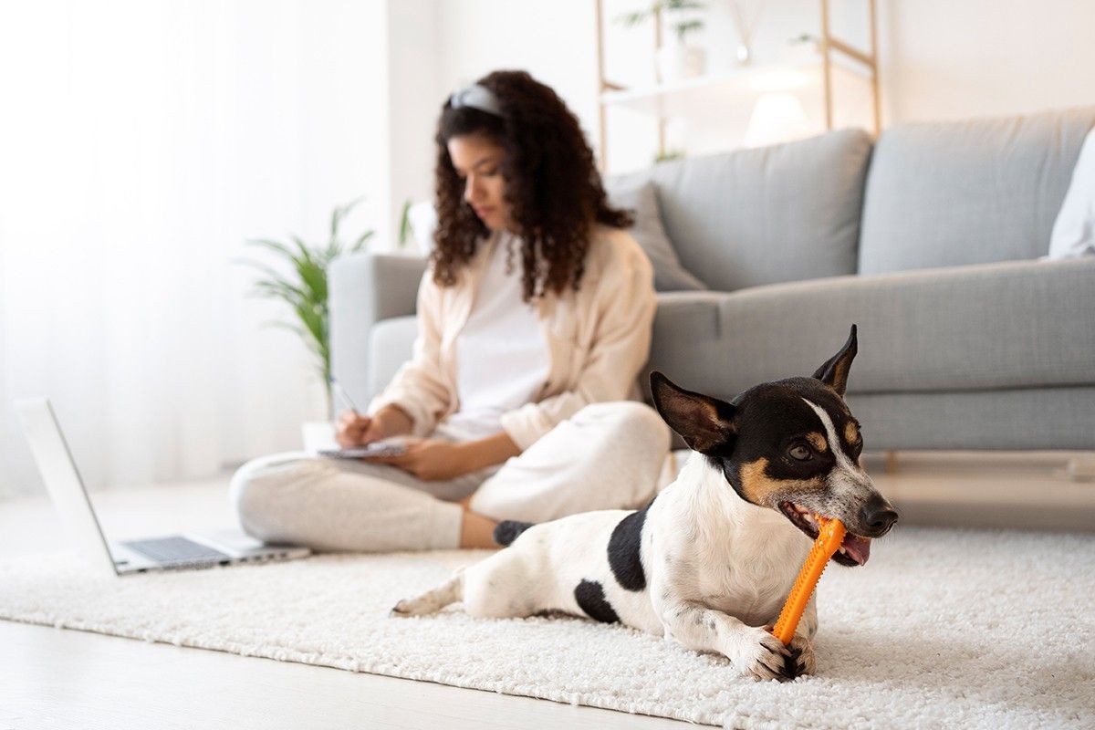 full-shot-woman-sitting-floor-with-laptop