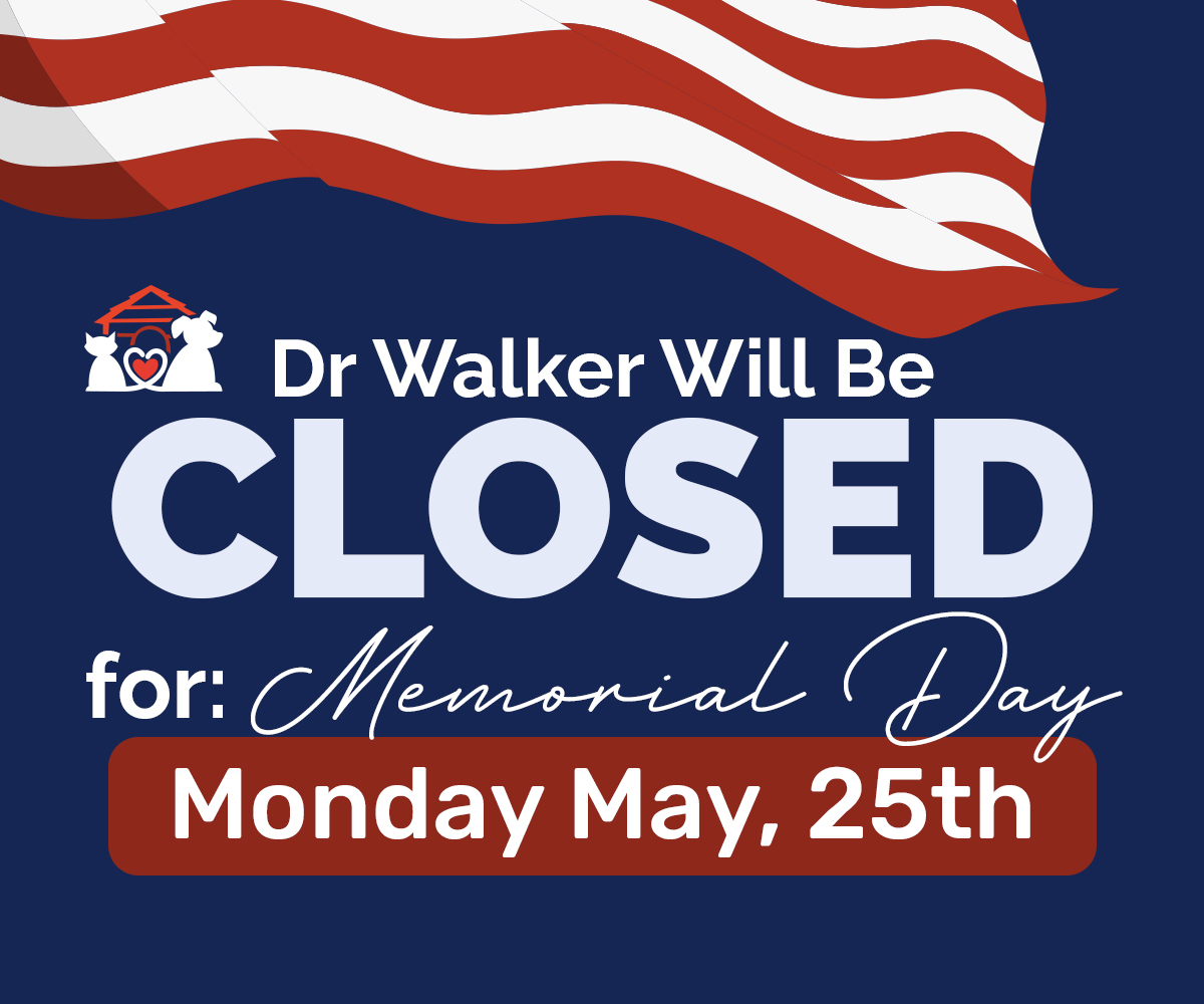 Dog Days of Birmingham is changing locations and we're going with them! The new address is 4424 3rd Ave South in Avondale. The transition should be complete by May 18th. Hope to see you all at the new location starting for us on Thursday, May 21st 3-5pm.
